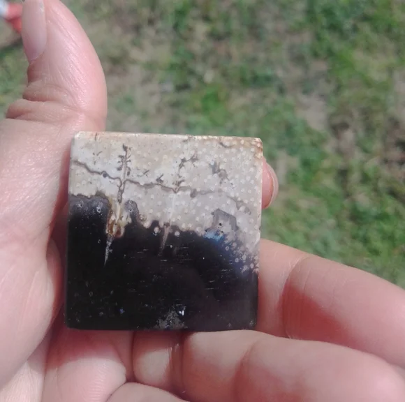 Palmroot pyramid - Picture 3 of 4